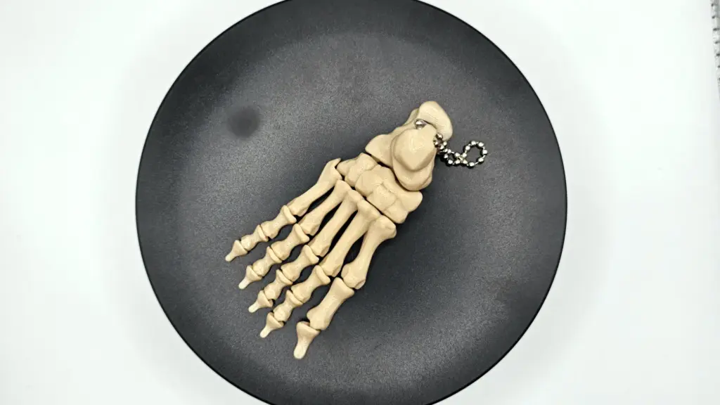 Knochen Fuss Schlüsselanhänger